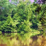 Tortuguero - Costa Rica: peace and quiet at biologically one of the most instense places (courtesy of www.btphotoservice.com)